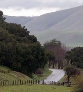 wine-country-in-santa-barbara-california