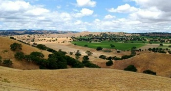 Driving-to-Foxen-Canyon-area-vineyard-views