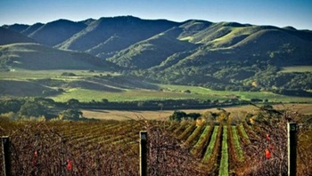 Driving-to-Los-Olivos
