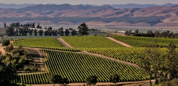 Santa-Maria-Valley-Wine-Trail