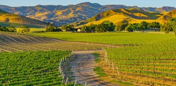 Santa-Ynez-valley-wine-country