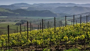 Sta-Rita-Hills-standout-destination-for-Pinot-Noir-Chardonnay